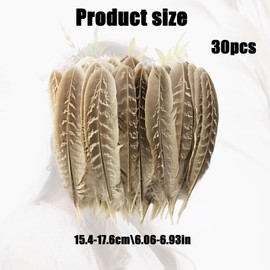 30PCS Natural Feathers for Crafting, 4.5-7 Inch Pheasant Feathers, Decorative Feather for Crafts DIY, Hat Feather Decorations Flower Arrangement Clothing Masks Ornamentation