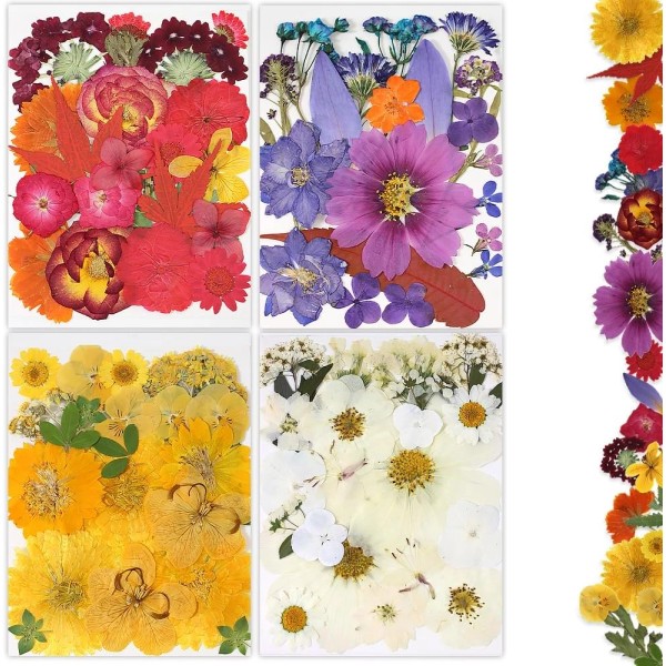 Does not apply Dried Pressed Flowers, 80Pcs Real Natural Pressed