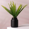 Leaf Ceramic Indoor Cachepot Planters, 14cm Black