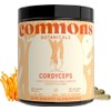 Hongo Cordyceps 120 Cápsulas - Máxima Pureza 100% Cuerpo Fructífero
