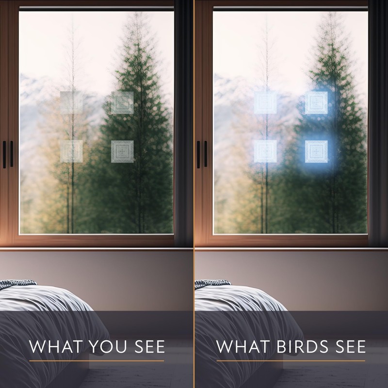 Bird's Eye View Clear/Etched Window Deflector 10 x 10 cm