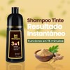 YAYAN HOUSE | Shampoo Tinte Cubre Canas Natural Jengibre, Retoca