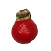 Red Waxed Red Lion Amaryllis Bulb Size 26/28