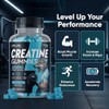 Creatine Gummies 4000mg | 120 Mixed Berry Flavoured Gummies |