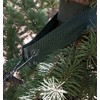 HORT Tree Straps 6-Pack 16", Commercial Grade