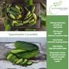 Spacemaster Cucumber Seeds, 100+ Heirloom Seeds Per Packet, (Isla's Garden