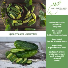 Spacemaster Cucumber Seeds, 100+ Heirloom Seeds Per Packet, (Isla's Garden Seeds), Non GMO Seeds, Botanical Name: Cucumis sativus, 85% Germination Rates