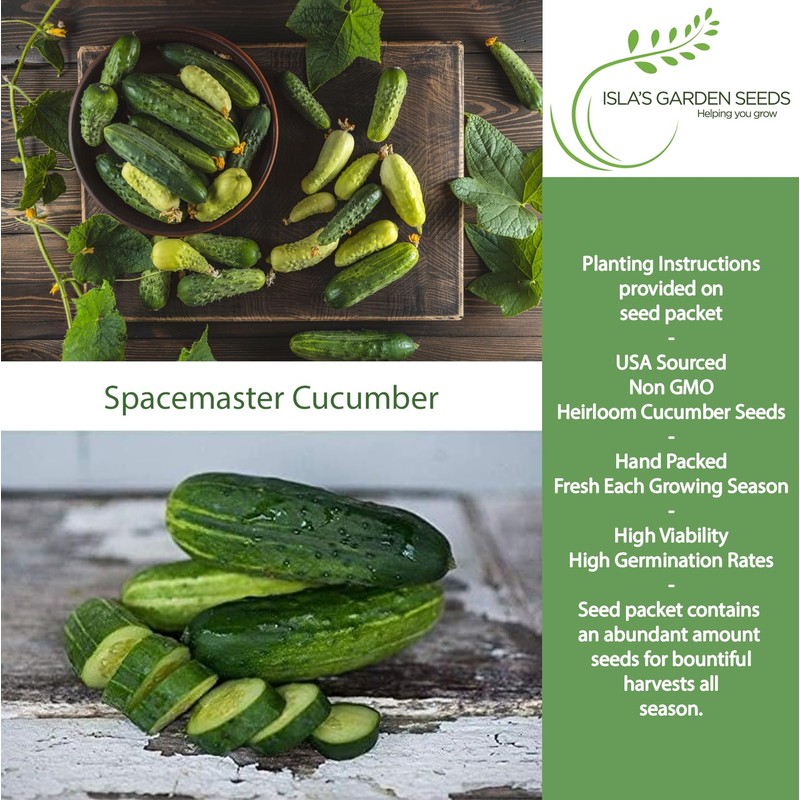 Spacemaster Cucumber Seeds, 100+ Heirloom Seeds Per Packet, (Isla's Garden