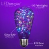 Wintergreen Lighting LEDimagine Fairy String Light Bulb Fairy Lights, LED