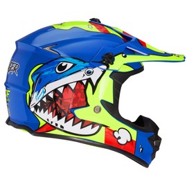 JQF Gear Youth Kids Dirt Bike Helmets Motocross Offroad ATV BMX MX Dirtbike Motorcycle Helmet J-01 with Goggles and Gloves DOT Approved (Blue Shark, S)