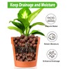 TOYPOPOR Leca Clay Pebbles for Plants, (3 Quarts) Leca Balls,