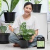KARRIKAID Plant Stress Defender Liquid Advanced Formula for Thriving Plants