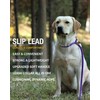 lynxking Dog Leash Slip Rope Lead Leash Strong Heavy Duty