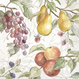 Boston International IHR - Servilletas de papel de 3 capas para otoño, otoño, Acción de Gracias, tamaño de cóctel de 20 unidades, frutas de campo, color crema