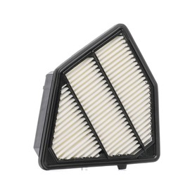 RIDEX 8A0991 Engine Air Filter, Air Filter Insert, Car Filter, Car Filter