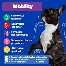 Dogelthy Mobility Suplemento Condroprotector en Polvo para Perro