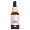 Living Essences Essence Emotions/Balance 30ml