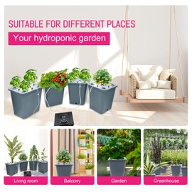 Lawnful 4 Hydroponic Buckets Kit for Plants, Hydroponics Growing System for Herbs/Tomato/Vegetables, DWC System with Air Pump & Germination Tray (Complete Indoor Hydroponic Gardening Supplies)
