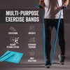 Therapy Flat Resistance Bands Set, Latex Free Flat Elastic Exercise
