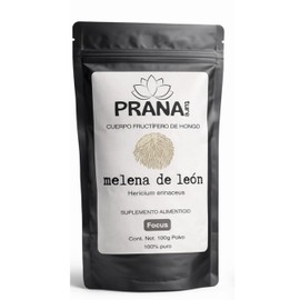 Melena de León Polvo Puro 100g