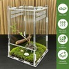 Jumping Spider Enclosure,Insects Habitat,Small Reptile Terrarium Glass House,for Spiders,Tarantulas,Snail,Mantis,Lizard and