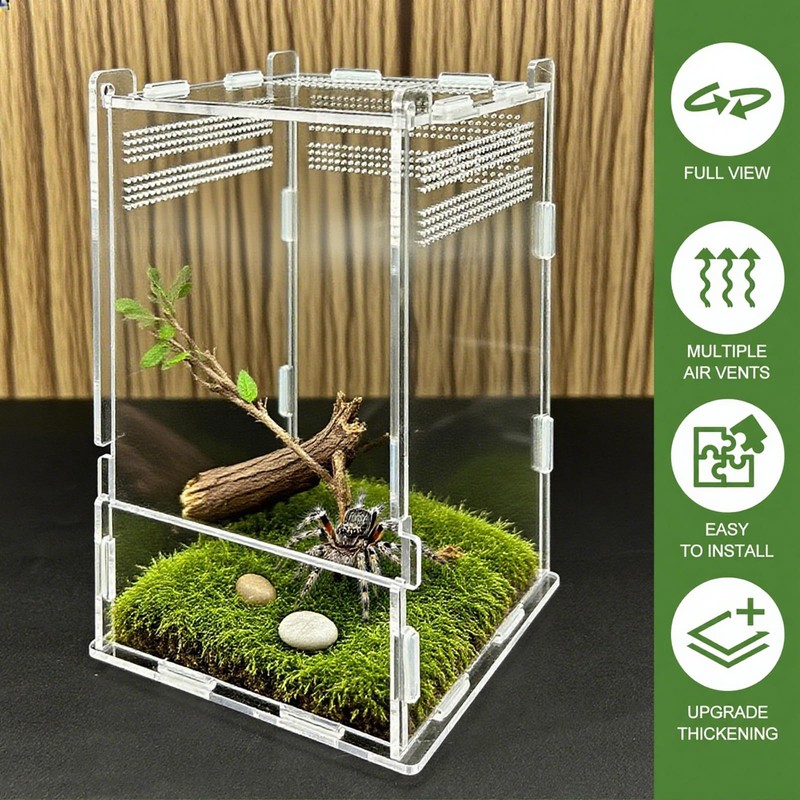 Jumping Spider Enclosure,Insects Habitat,Small Reptile Terrarium Glass House,for Spiders,Tarantulas,Snail,Mantis,Lizard and