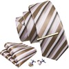 Barry.Wang Men's Silk Business Ties with Handkerchief, Cufflink Stripes Plaid