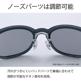 SWANS DF-Pathway PW-0065 CBR Sunglasses, Polarized Lens Model, Clear Brown Half / Clear Brown