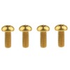Dingtai M5x12mm Titanium Bolt Torx for Bicycle Bottle Cage 4pcs