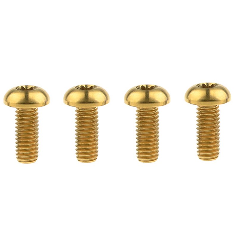 Dingtai M5x12mm Titanium Bolt Torx for Bicycle Bottle Cage 4pcs