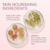 Crema anti-arrugas con Aloe vera y extracto de Uva, 1.69Oz/50ml
