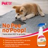 No Pee No Poop Dog Potty Training Spray, 16 Fl
