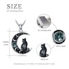 QHQPQ Black Cat Necklace for Women 925 Sterling Silver Moon