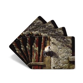 Julian Friers Barn Owl in Doorway Large Table Mats by Wildlife Artist Set of 4 - Non-slip - Cork-backed Placemat Set