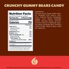 Crunchy Gummi Bears Candy | 1 Pound Bag | Fruity