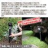 GOTO Solar LED Approach Light, Motion Sensor, Security Prevention, Garden
