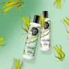 Organic Shop Anti Hair-Loss Strengthening Shampoo Algae and Lemongrass, 280
