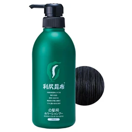 Sastty Color Shampoo for Gray Hair Value 16.9 fl oz (500 ml) (Black)