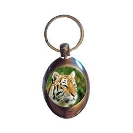 DottsMusic Tiger - Photo Design on Shopping Trolley Keyring - Token (£1 Coin)
