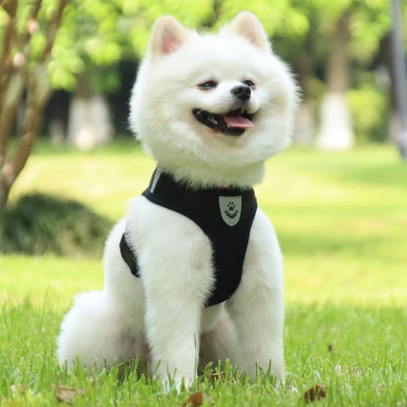 Step-in Dog Harness Adjustable Reflective Soft Dog Harness Breathable Vest