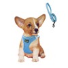 ASMPET Dog Harness, Anti-Pull, Lightweight, Soft, Breathable, Mesh Dog Harness,