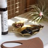 SPICE OF LIFE DRDF1250 Small Box Accessory 2-Tier Tray, Leaf