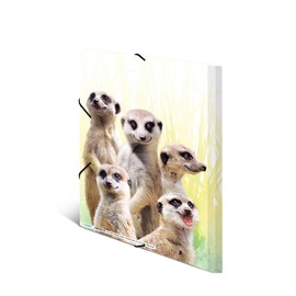 HERMA Collector's Folders A4 Meerkat Set, 3 Pieces, Children's Plastic Corner Folder with Animal Motif, Elastic Band, Inner Flaps and Inner Print for Boys and Girls