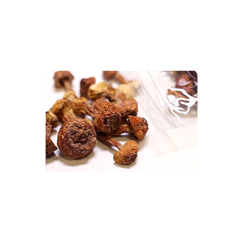 USTCM Blazei Brazilian Cap Mushroom Ji Song Rong 姬松茸 2oz