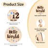 Baby Monthly Milestone Cards - 13 Double-Sided Wooden Milestone Signs