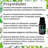 Laferv Aceite Esencial Orégano 15 Ml 100% Puro