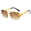 NiaWa Sunglasses for Women Men, Frameless Leopard Head Design, Polarized