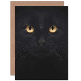 Black Cat - Close Up Photo Sealed Greeting Card Plus Envelope Blank inside