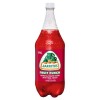 Jarritos 🍓 Fruit Punch Soda 🥤 1.58 qt Bottles 🗳️