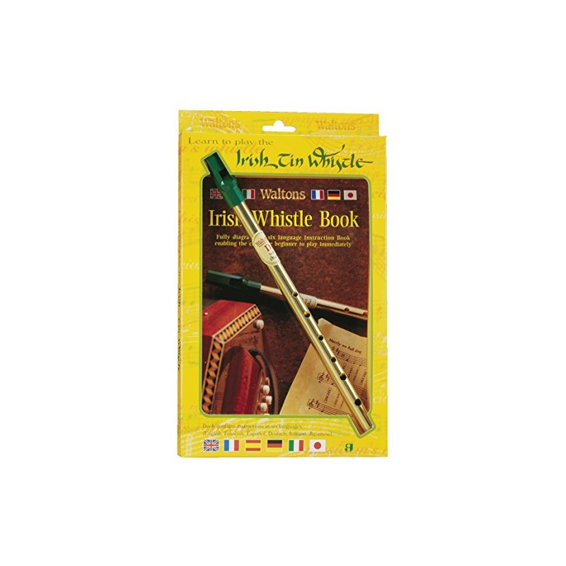 Learn To Play The Irish Tin Whistle